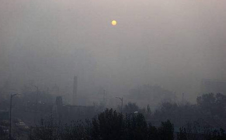 生物質蜜桃AV在线网址助你致富一臂之力