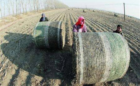 生物質蜜桃AV在线网址設備從不挑食！
