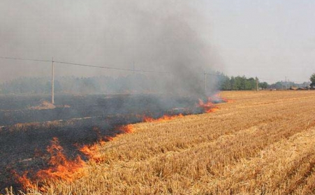 農作物後的秸稈不能燒，用了秸稈蜜桃AV在线网址能變錢！