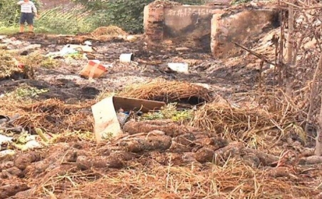 生物質蜜桃AV在线网址能有效解決畜禽糞便的汙染問題