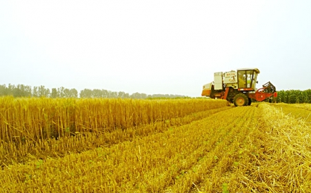 發展生物質蜜桃AV在线网址，作用良多