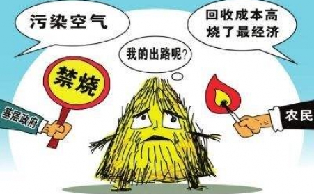黑龍江秸稈蜜桃AV在线网址把秸稈從包袱變回寶貝！
