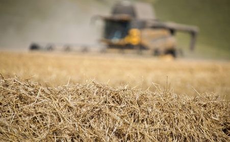 看這裏！了解木屑蜜桃AV在线网址如何利用廢棄物