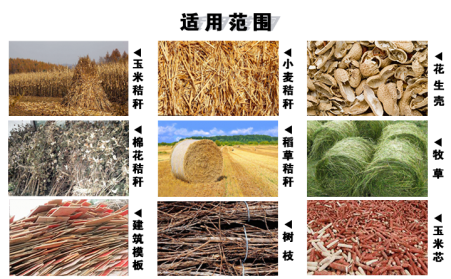 木屑蜜桃AV在线网址有效處理農村廢棄物，發展生物質能源