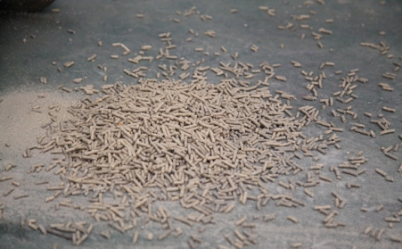 生物質燃料蜜桃AV在线网址意想不到的重要