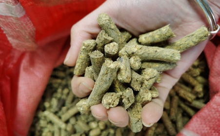 什麽是生物質燃料蜜桃AV在线网址顆粒？農村為什麽都在用生物質顆粒？