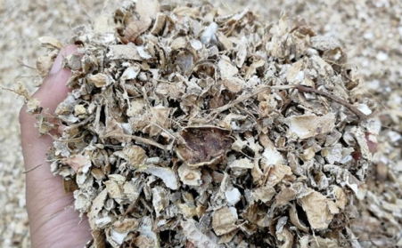 為什麽有人願意花錢買生物質燃料蜜桃AV在线网址來加工稻殼花生殼呢？有必要嗎？