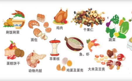 我國明確對非居民廚餘垃圾處理按“產生者付費”原則計量收費,你的垃圾怎麽辦？垃圾生物質蜜桃AV在线网址幫你解決