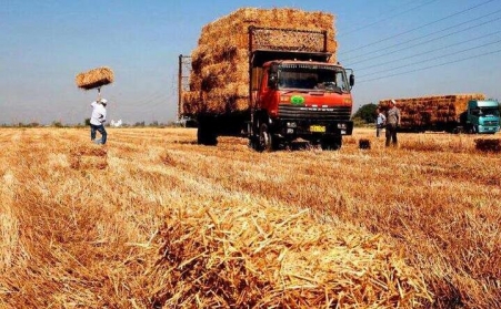 生物質發電：秸稈變燃料 環保又增收