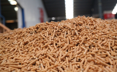 生物質燃料蜜桃AV在线网址為蜜桃性爱视频更好的生活創造價值 