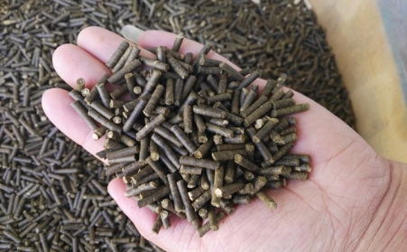 生物質燃料蜜桃AV在线网址加工顆粒燃料對我國發展有重大意義