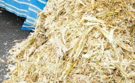 甘蔗渣想廢物利用？可以考慮生物質蜜桃AV在线网址！