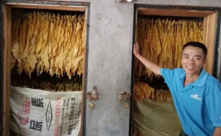 光澤華僑鄉：改造生物質顆粒燃料烤房，助力煙農減工增收