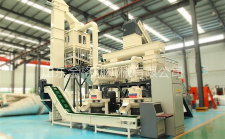 一套1噸生物質蜜桃AV在线网址生產線的配置