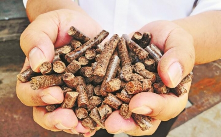 生物質蜜桃AV在线网址燃料又稱“綠色能源”