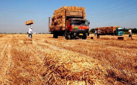 國家九部門：推進生物質成型燃料及專用設備標準製定
