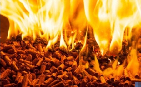 研報：歐洲的木屑顆粒供應衝擊