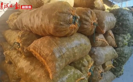 青海海東樂都：生物質顆粒燃料燃起鄉村振興新希望