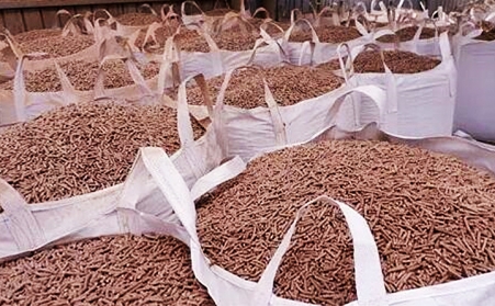 廣東省潮州市湘橋區：廢枝雜木“變身”生物質顆粒燃料，環保又增收