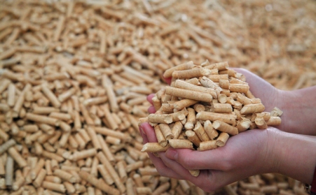 廢木材粉碎後用生物質蜜桃AV在线网址製作生物質燃料顆粒