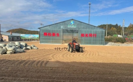 黑龍江鶴立林業局：生物質顆粒產業點燃綠色發展新引擎